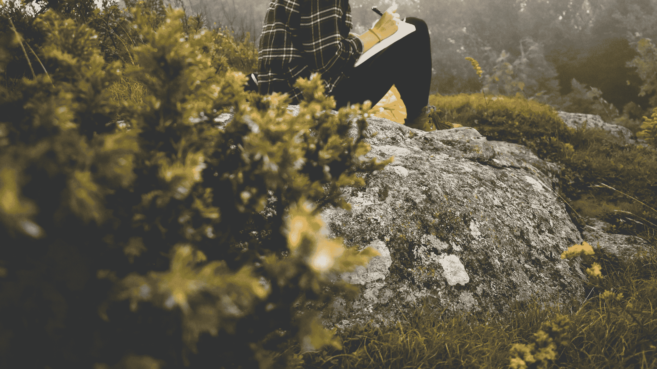 A person sitting on a mossy rock in nature, writing in a journal surrounded by wild greenery&mdash;capturing the essence of self-growth journaling prompts in a peaceful outdoor setting